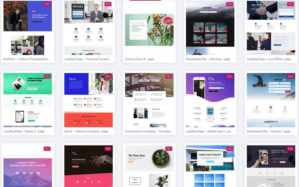Illustration for website design and branding